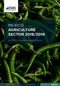 Mexico Agriculture Sector Report 2018/2019 - Page 1