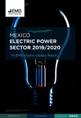 Mexico Electric Power Sector 2019/2020 - Page 1