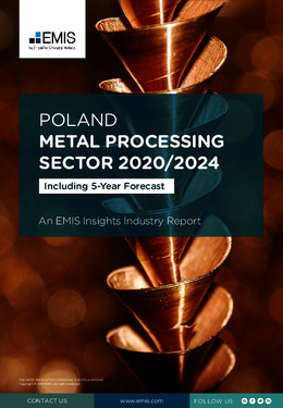 Poland Metal Processing Sector Report 2020/2024 - Page 1