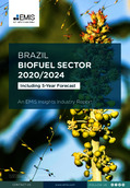 Brazil Biofuel Sector Report 2020/2024 - Page 1