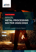 Brazil Metal Processing Sector Report 2020/2024 - Page 1