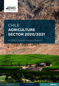 Chile Agriculture Sector Report 2020/2021 - Page 1