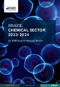 Brazil Chemicals Sector Report 2023-2024 - Page 1