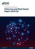 China Iron and Steel Sector Report 2024 Q2 - Page 1