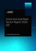China Iron and Steel Sector Report 2024 Q3 - Page 1