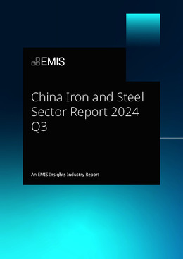 China Iron and Steel Sector Report 2024 Q3 - Page 1