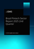 Brazil Fintech Sector Report 2025 2nd Quarter - Page 1