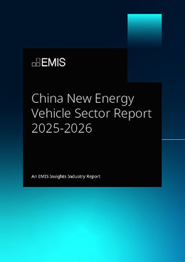 China New Energy Vehicle Sector Report 2025-2026 - Page 1